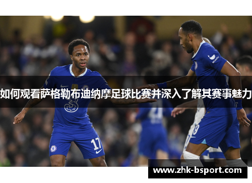 如何观看萨格勒布迪纳摩足球比赛并深入了解其赛事魅力