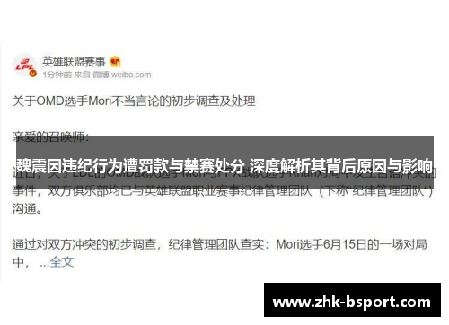 魏震因违纪行为遭罚款与禁赛处分 深度解析其背后原因与影响